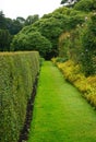 Grassy path through a manicured garden