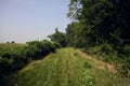 Grassy path in a park and by the edge of a corn field on a summer day in the italian countryside Royalty Free Stock Photo