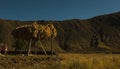 Plateau Scenery, Tibet