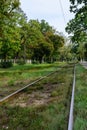 Grassy rails, railway, sleepers. Rails in perspective. There are trees and bushes. Royalty Free Stock Photo