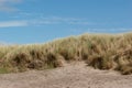 Grassy Sand Dune with Blue Sky Royalty Free Stock Photo