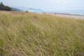 Grassy Sand Dune With Fire Plume On The Horizon Royalty Free Stock Photo