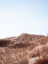 Grassy Sand Dune Hills on a Blue Sky Day Royalty Free Stock Photo