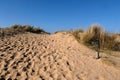 Grassy sand dune of Ty Hoche beach in Plouharnel