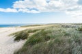 Grassy sand dunes backing a beach on a sunny autumn day
