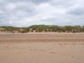 Grassy sand dunes at the edge of a flat sandy beach with footprints in summer sunlight with blue sky and clouds Royalty Free Stock Photo