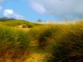Grassy Sand Dunes on Ocean Shoreline with Haystack Rock Royalty Free Stock Photo