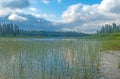 Grassy Shore on a Backcountry Lake