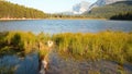 Grassy shore of Fishercap Lake in Glacier National Park in Montana USA