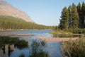 Grassy shore of Fishercap Lake in Glacier National Park in Montana USA