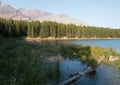 Grassy shore of Fishercap Lake in Glacier National Park in Montana USA