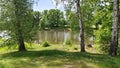 On the grassy shore of the small lake grow birch trees, and on the opposite shore stand various trees. On a summer sunny day, the Royalty Free Stock Photo