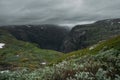grassy slopes of rocks during foggy weather, Norway, Hardangervidda Royalty Free Stock Photo