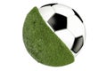 Grassy soccer ball concept, 3D rendering