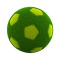 Grassy Soccerball