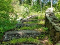 Grassy Stairway Ruins