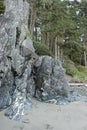 Grassy stone cliffs over the a beach with pine trees covering it