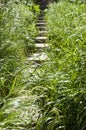 Grassy stone steps stairs overgrown with green grass natural summer landscape