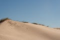 Grassy top of sand dune Royalty Free Stock Photo