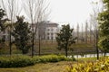 Grassy trail by rivulet with fenced villas in background