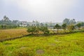 Grassy uncultivated lands before farmhouse in sunny spring after Royalty Free Stock Photo