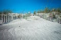 Grassy windy sand dunes on the beach Royalty Free Stock Photo