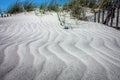 Grassy windy sand dunes on the beach Royalty Free Stock Photo