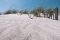 Grassy windy sand dunes on the beach Royalty Free Stock Photo