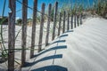 Grassy windy sand dunes on the beach Royalty Free Stock Photo