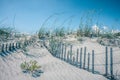 Grassy windy sand dunes on the beach Royalty Free Stock Photo