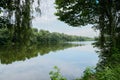 Grassy and woody lakeside in cloudy summer