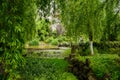 Grassy and woody pond before ancient castle in cloudy spring