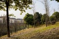 Grassy and woody slope by rivulet in sunny winter afternoon