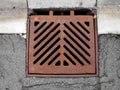 Grate covering a storm sewer drain.