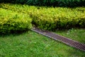 Grate drainage system on the lawn with green grass and bushes in the backyard. Royalty Free Stock Photo