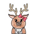 Grated adorable female reindeer cute animal