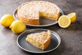 Grated cake Lemon curd pie close-up in a plate. Horizontal Royalty Free Stock Photo