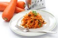 Grated carrot salad and grater Royalty Free Stock Photo