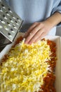 Grated carrots and boiled eggs prepared for making nutritious sa