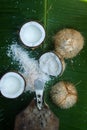Grated coconut on banana leaves Royalty Free Stock Photo