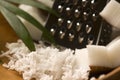 Grated coconut with grater and nut