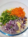 Grated pannier ,carrot ,capsicum and onion