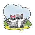 Grated raccoon couple cute animal in the landscape