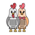 Grated rooster and hen couple cute animal Royalty Free Stock Photo