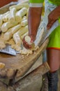 Grated yucca being prepared for bread in a Siona village in the Cuyabeno Wildlife Reserve, Ecuador