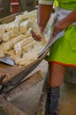 Grated yucca being prepared for bread in a Siona village in the Cuyabeno Wildlife Reserve, Ecuador