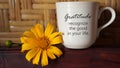 Grateful inspirational quote on a coffee cup - Gratitude recognize the good in your life. Text on a coffee cup with flower.