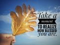 Grateful inspirational quote - Take a moment to realize how blessed you are. With person holding oak leaf in hand on blue sky.