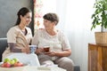 Senior lady serving tea Royalty Free Stock Photo