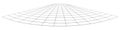 Graticule grid, mesh plane with deform, distortion effect. Reticulate, grate, plexus abstract pattern
